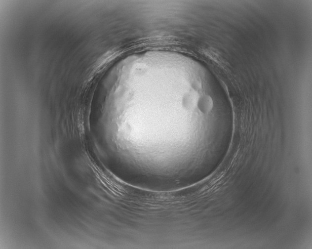 X0000052581451200507081715
