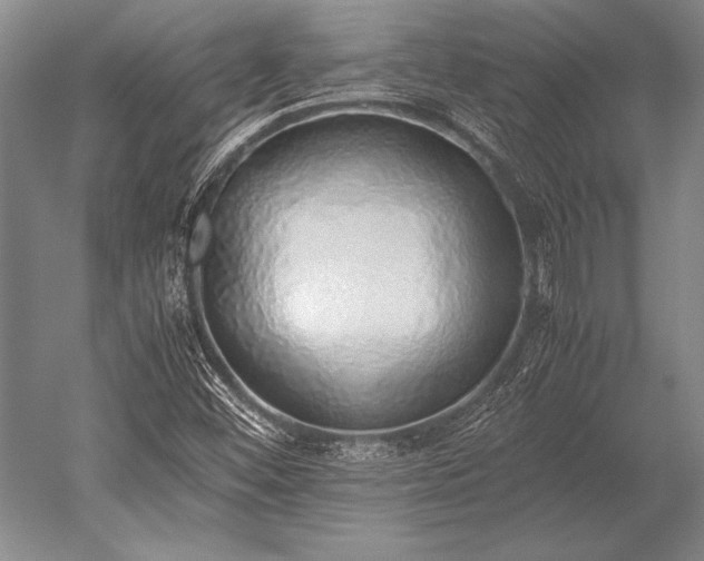 X0000052581452200507081715