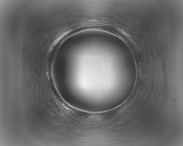 X0000052581453200507081715