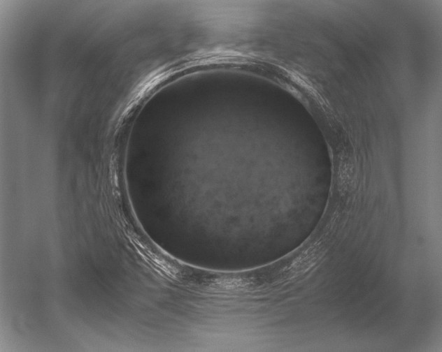 X0000052581455200507081715
