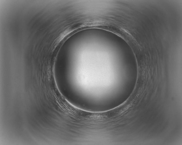 X0000052581457200507081715