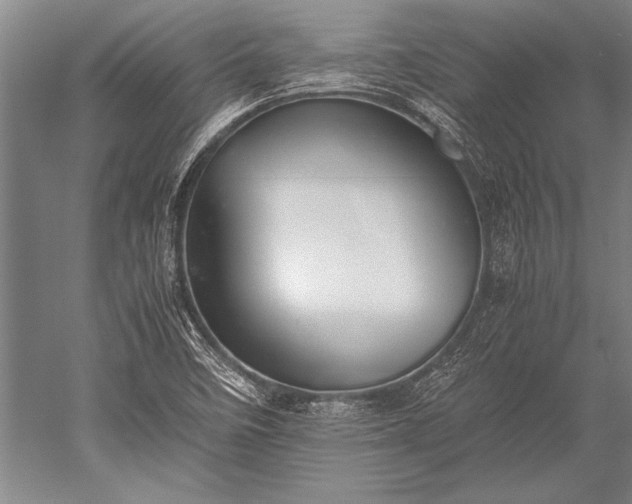 X0000052581458200507081715