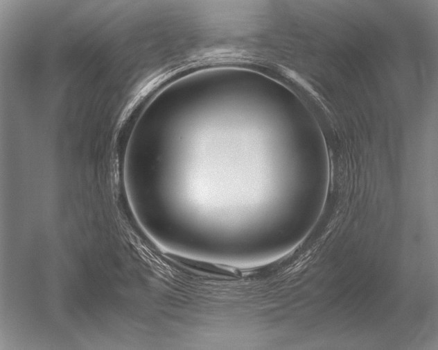 X0000052581461200507081715