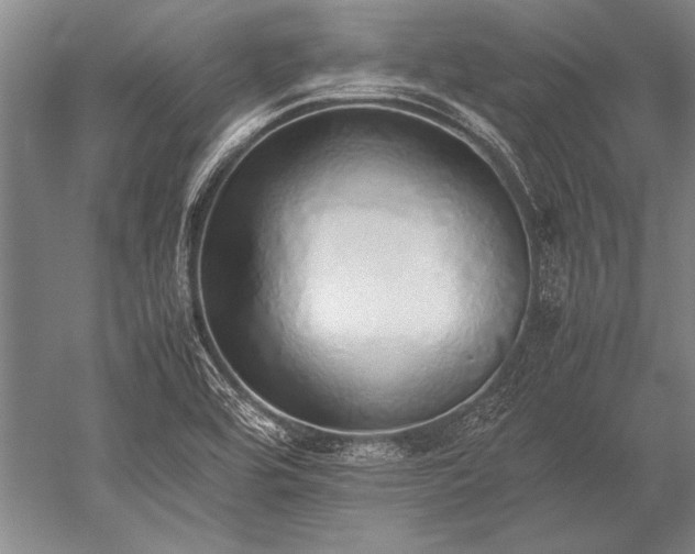 X0000052581464200507081715