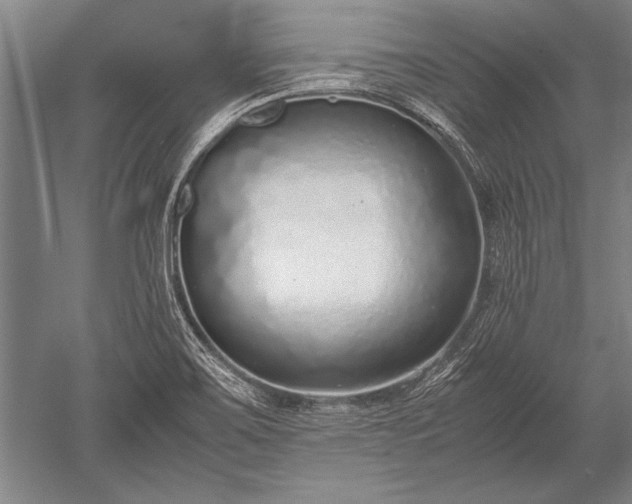 X0000052581467200507081715