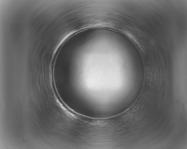 X0000052581476200507081715