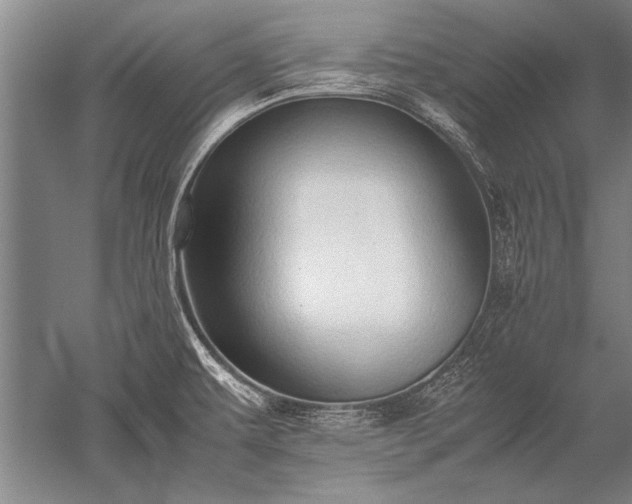 X0000052581479200507081715