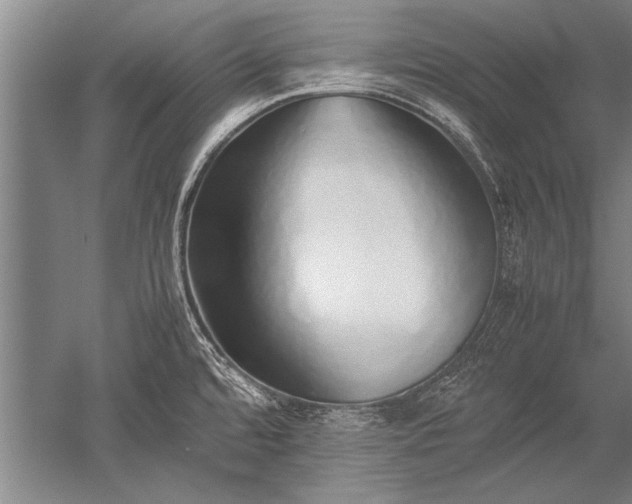 X0000052581480200507081715