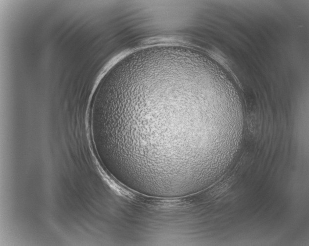 X0000052581482200507081715