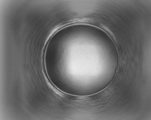 X0000052581483200507081715