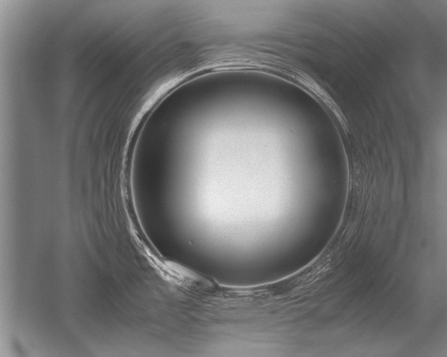 X0000052581485200507081715