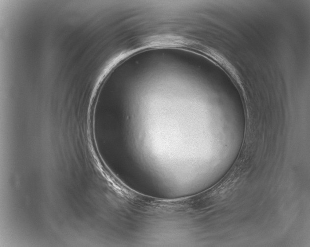 X0000052581488200507081715