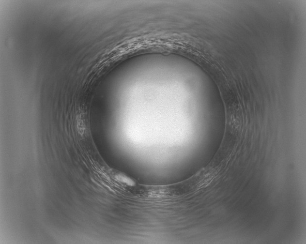 X0000052581490200507081714