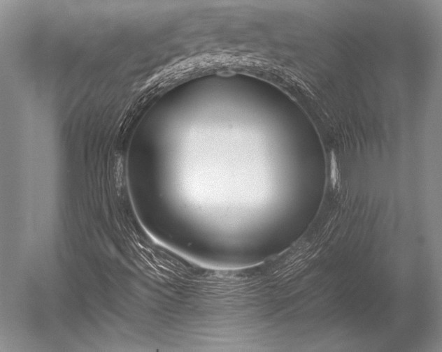 X0000052581492200507081714