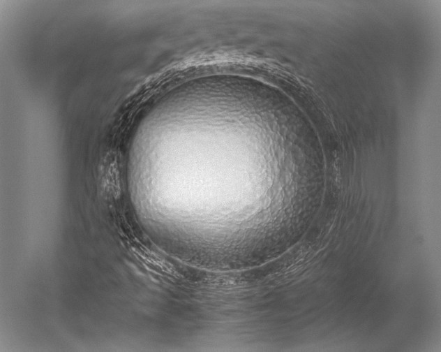 X0000052581493200507081714