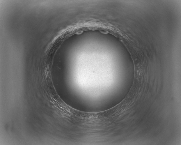 X0000052581495200507081714