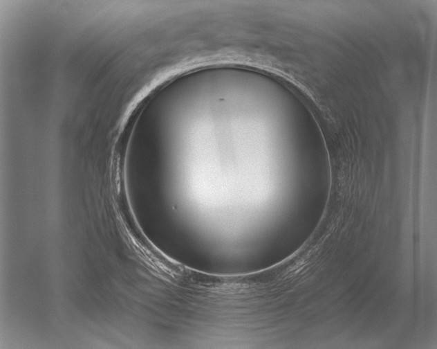 X0000052581510200507081714