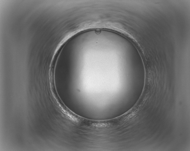 X0000052581517200507081714