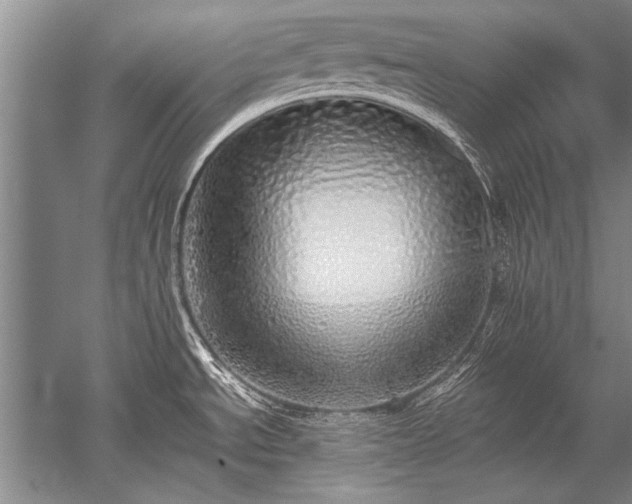 X0000052581534200507081715