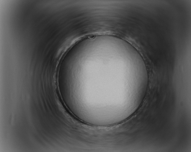 X0000052580002200507152331