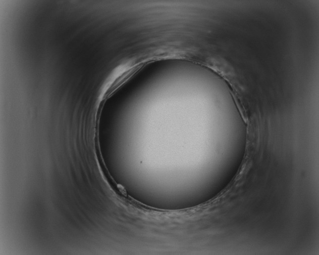 X0000052580003200507152331