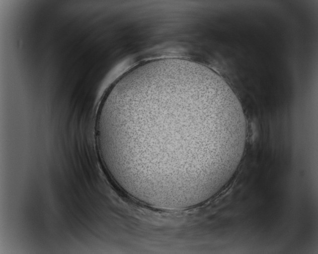 X0000052580004200507152330