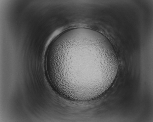 X0000052580006200507152330