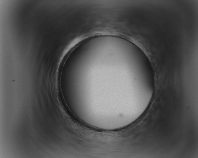 X0000052580008200507152330