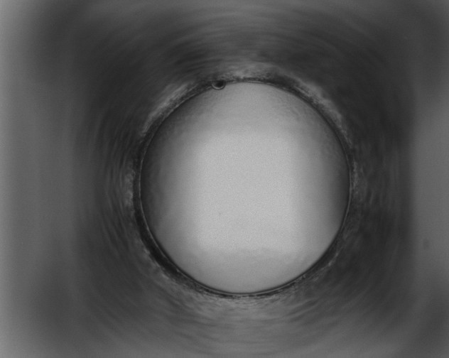 X0000052580010200507152330