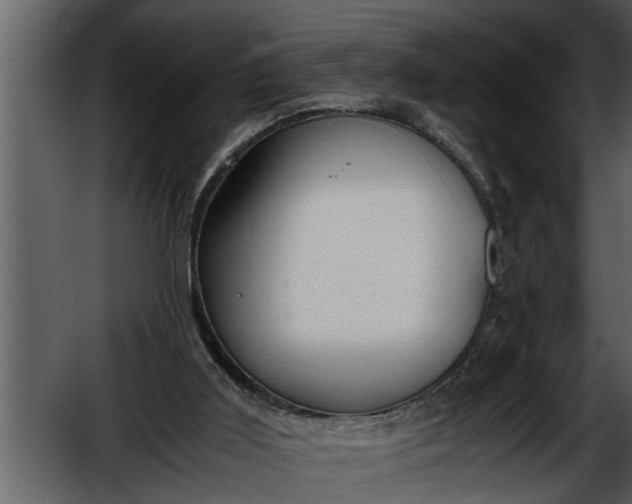 X0000052580011200507152330