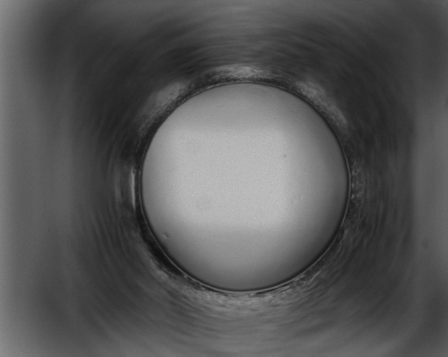 X0000052580014200507152330