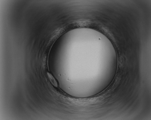 X0000052580018200507152330