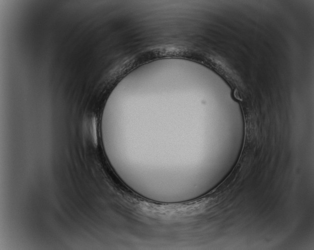 X0000052580022200507152330
