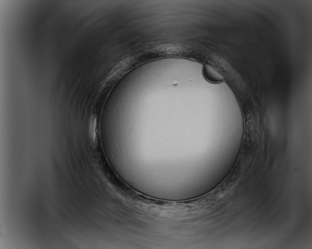 X0000052580024200507152330