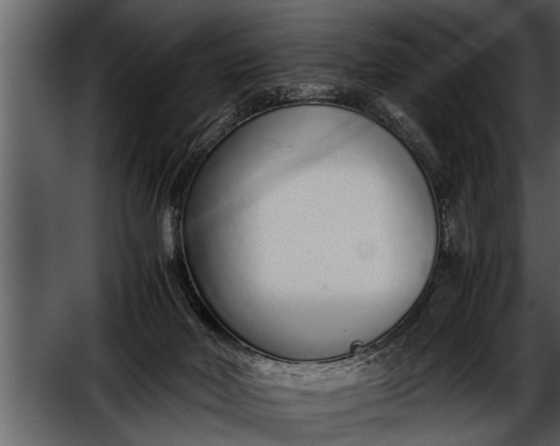 X0000052580026200507152330