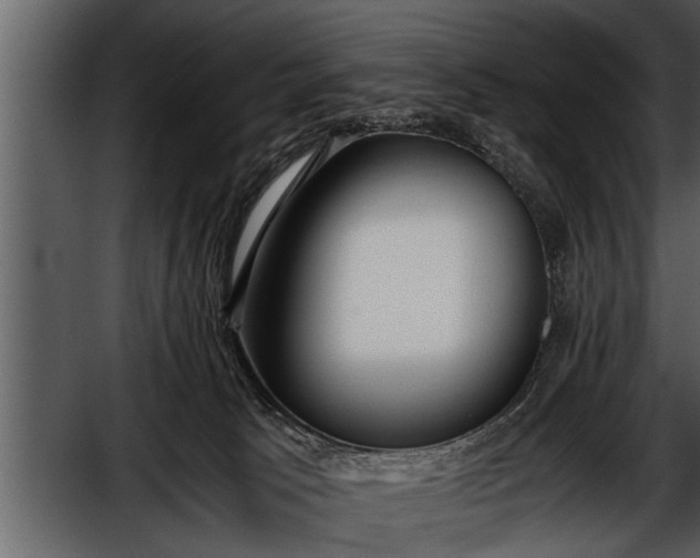 X0000052580033200507152330
