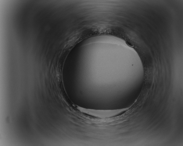 X0000052580039200507152330