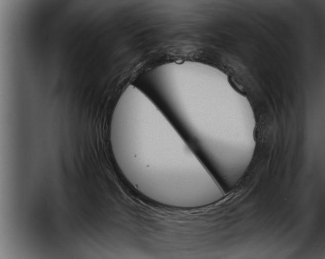 X0000052580040200507152330