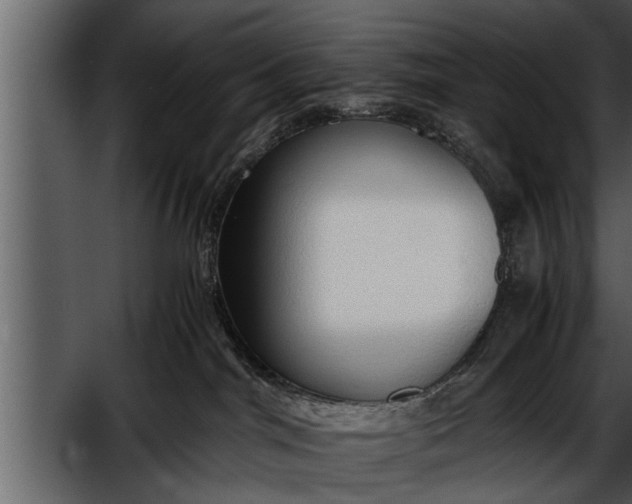 X0000052580044200507152330