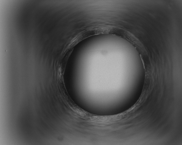 X0000052580045200507152330