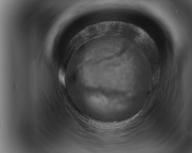 X0000052580047200507152330