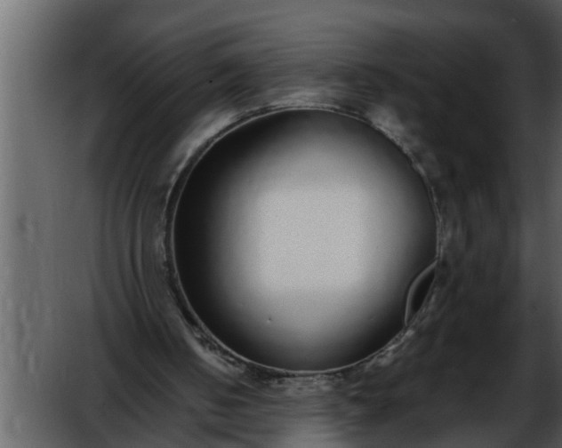 X0000052580050200507152329