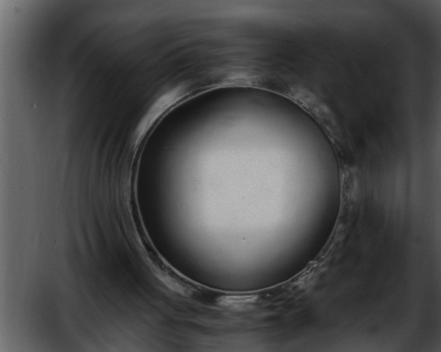 X0000052580051200507152329