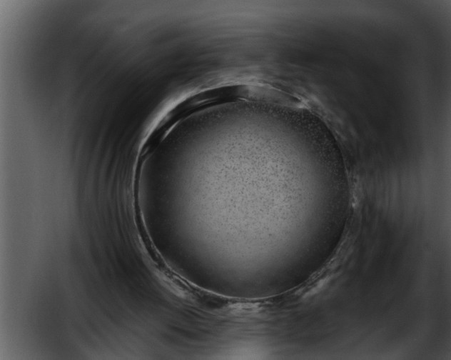 X0000052580052200507152329