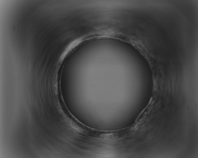 X0000052580054200507152329