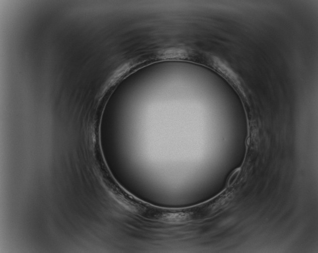 X0000052580059200507152329