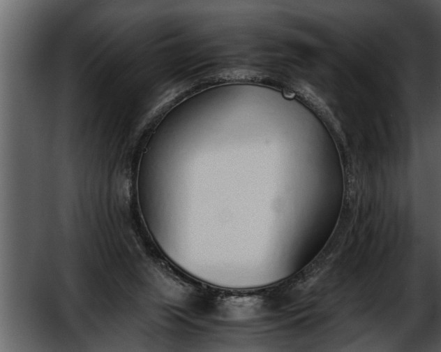 X0000052580063200507152329