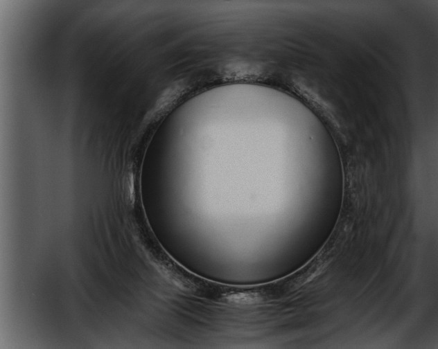 X0000052580067200507152329