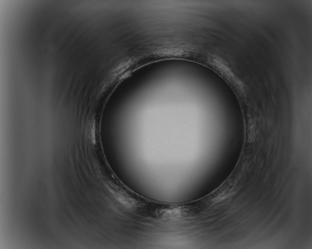 X0000052580068200507152329
