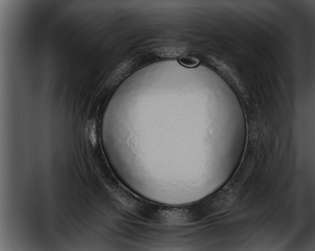 X0000052580069200507152329